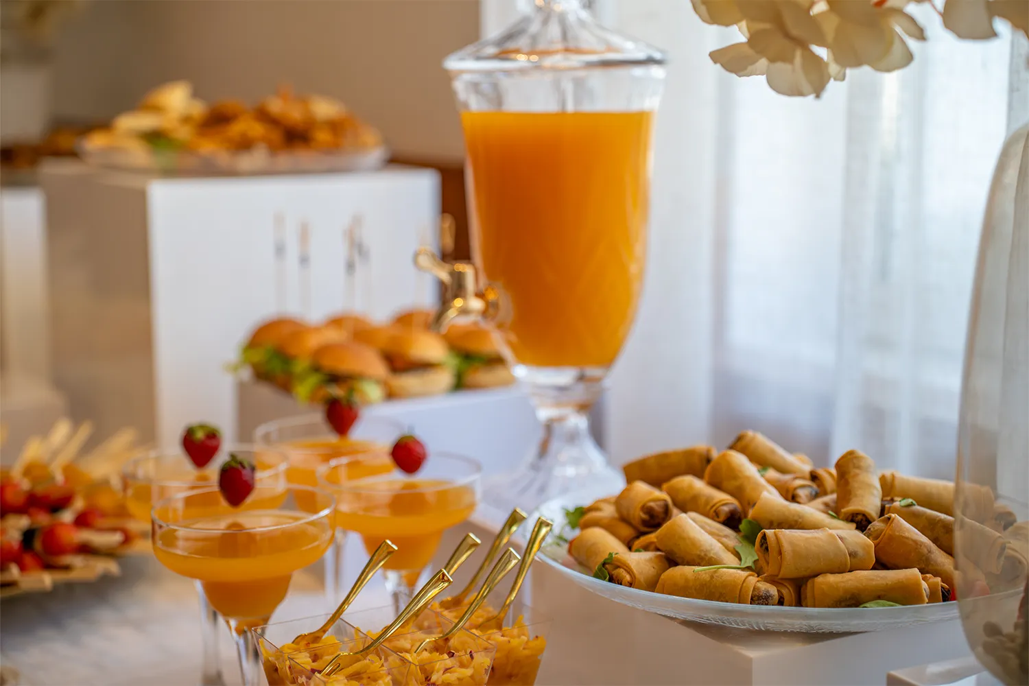 Photo Le Madagascar 2